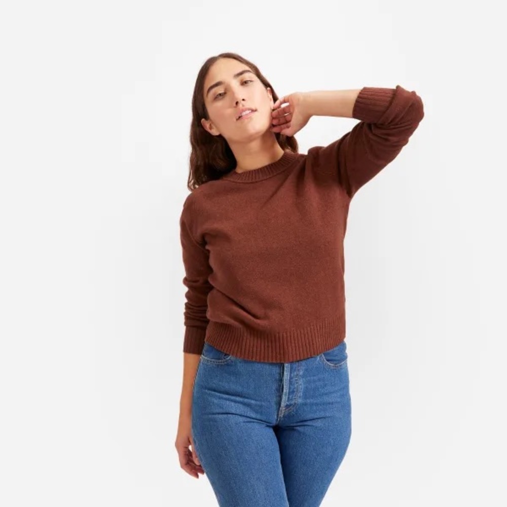 Everlane Recashmere Crew